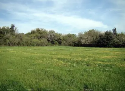 Građevinsko zemljište 16.000 m², Ližnjan - turistička namjena - 3