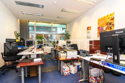 Commercial property for rent in Trnje, 487 m² - 7