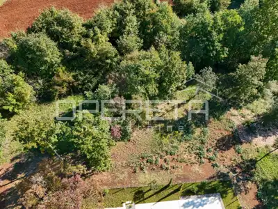 Građevinsko zemljište 1.384 m², Stari Pazin, mir i privatnost - 3