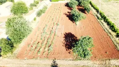 Baugrundstück 1.180 m², Poreč - Meerblick