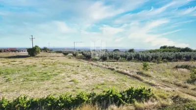 Baugrundstück 1.180 m², Poreč - Meerblick - 2
