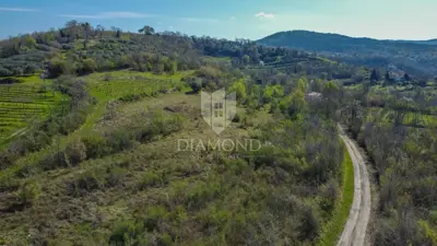 Land 12,700 m², Motovun - open view of Istria - 2