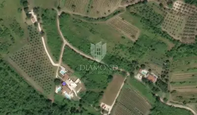 Land 12,700 m², Motovun - open view of Istria - 7