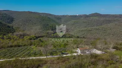 Land 12,700 m², Motovun - open view of Istria - 4