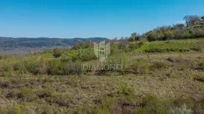Land 12,700 m², Motovun - open view of Istria - 6