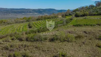 Land 12,700 m², Motovun - open view of Istria