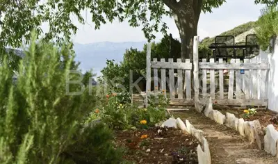 Brač, Dol, prodaja samostojeća kuća, bazen - 11