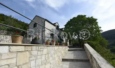 Brač, Dol, prodaja samostojeća kuća, bazen - 4