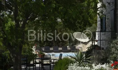 Brač, Dol, prodaja samostojeća kuća, bazen - 10