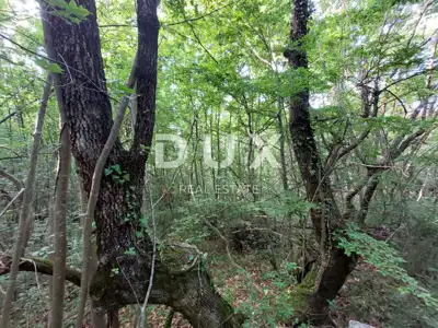 Landwirtschaftsfläche 13.056 m², Labin - eine Katasterparzelle - 2