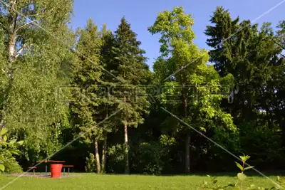 House for rent in Jablanovec, 240 m² - 3