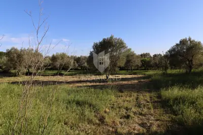 Land 1,100 m², Pula Centar - flat rectangular plot - 2