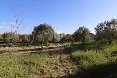 Grundstück 1.100 m², Pula Centar - ebene rechteckige Parzelle
