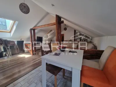 Wohnung zum Kauf in Trešnjevka, 271 m² - 10