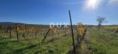 Land 22,440 m², Pićan near Labin - building part and seclusion - 14