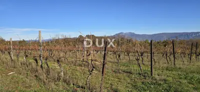 Land 22,440 m², Pićan near Labin - building part and seclusion - 17