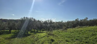 Land 22,440 m², Pićan near Labin - building part and seclusion - 15