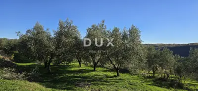 Land 22,440 m², Pićan near Labin - building part and seclusion - 13