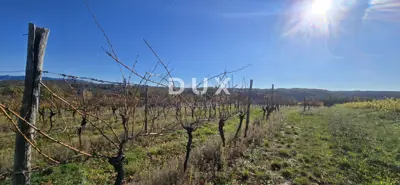 Land 22,440 m², Pićan near Labin - building part and seclusion - 16