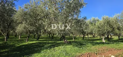 Land 22,440 m², Pićan near Labin - building part and seclusion - 9