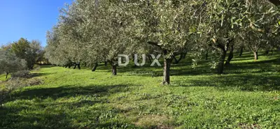 Land 22,440 m², Pićan near Labin - building part and seclusion - 10