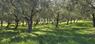 Land 22,440 m², Pićan near Labin - building part and seclusion - 4