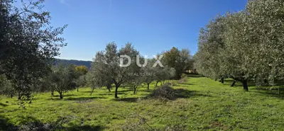 Land 22,440 m², Pićan near Labin - building part and seclusion - 12