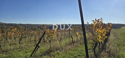 Land 22,440 m², Pićan near Labin - building part and seclusion - 21