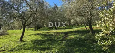 Land 22,440 m², Pićan near Labin - building part and seclusion - 6