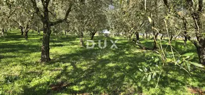 Land 22,440 m², Pićan near Labin - building part and seclusion - 5