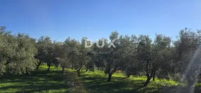 Land 22,440 m², Pićan near Labin - building part and seclusion - 3