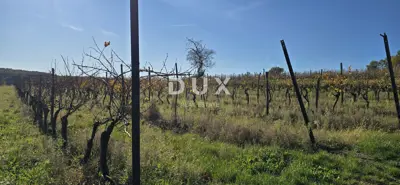 Land 22,440 m², Pićan near Labin - building part and seclusion - 19
