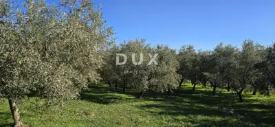 Land 22,440 m², Pićan near Labin - building part and seclusion - 11