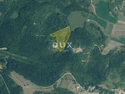 Poljoprivredno zemljište 9.810 m², Gračišće - nekoliko minuta od mjesta
