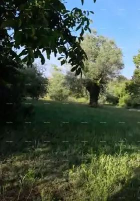 Imanje 6.710 m², Rovinj - investicijska lokacija - 5