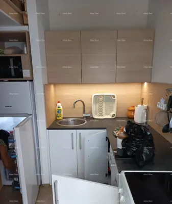 Apartment, Mareda near Novigrad, terrace and gallery - 5