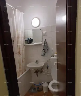 Apartment, Mareda near Novigrad, terrace and gallery - 7