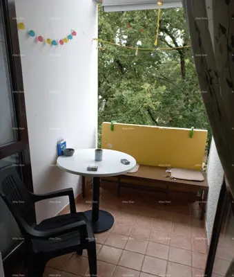 Apartment, Mareda near Novigrad, terrace and gallery