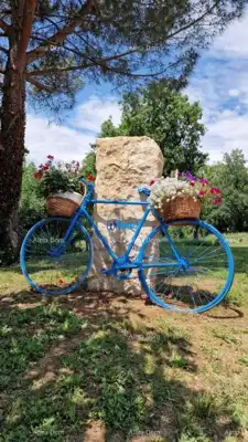Sveti Lovreč, Wunderschöne Steinvilla mit großem Grundstück - 13