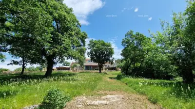 Sveti Lovreč, Wunderschöne Steinvilla mit großem Grundstück - 11