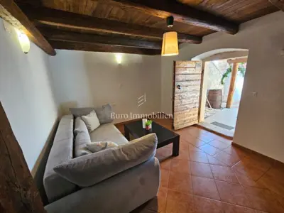 Poreč - kamena kuća s bazenom - 12