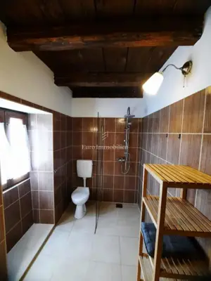 Poreč - kamena kuća s bazenom - 19