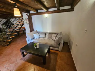 Poreč - kamena kuća s bazenom - 16