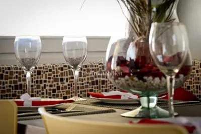 Privlaka - apartman s bazenom i velikim vrtom - 17