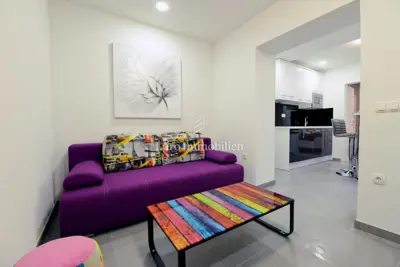 Privlaka - apartman s bazenom i velikim vrtom - 8