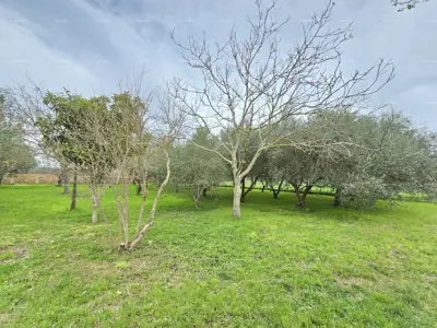 Geräumiges Haus in der Nähe von Pula! Zwei Wohnungen - 2500 m² Grundstück! - 14