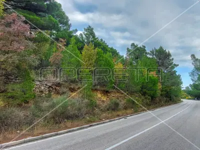 Landwirtschaftsfläche, Tugare bei Omiš, an der Hauptverkehrsstraße - 10