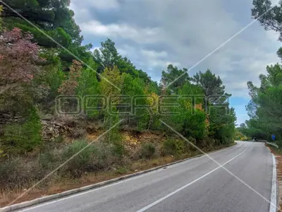 Landwirtschaftsfläche, Tugare bei Omiš, an der Hauptverkehrsstraße - 11
