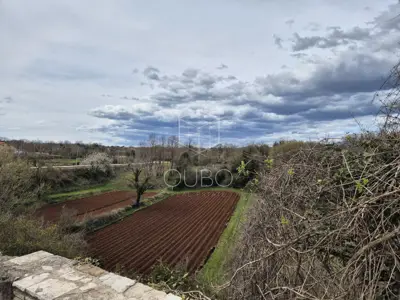 Kamena kuća 200 m², Filipana - mirno istarsko okruženje - 17