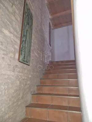 Kamena kuća 200 m², Filipana - mirno istarsko okruženje - 4